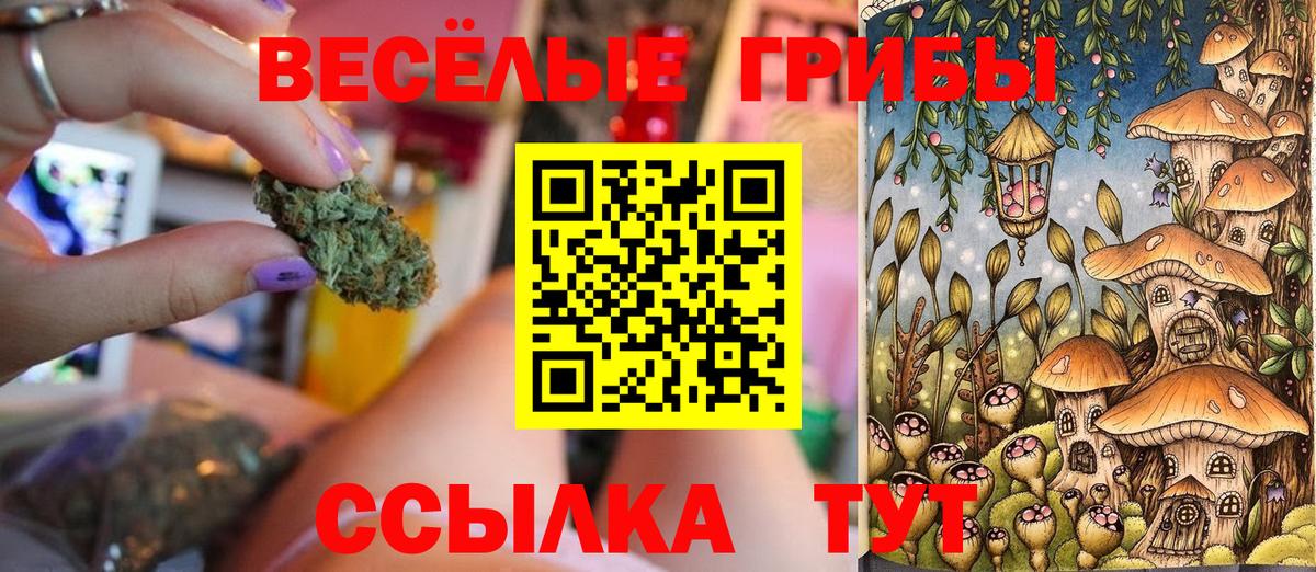 Псилоцибиновые грибы Psilocybine cubensis  Галлюциногенные грибы GOLDEN TEACHER  Вход с VPN  как найти закладки  Тавда 