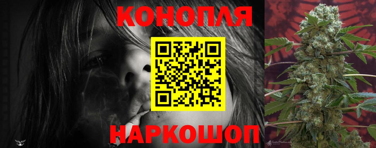Бошки Шишки гибрид Тавда